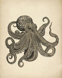 Elegante pulpo vintage
