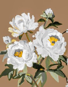Flores de peonía blanca de Josie George
