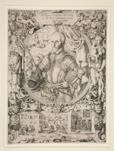 Gaspard de Coligny, Almirante de Francia