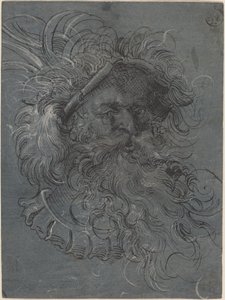Cabeza de un hombre barbudo de Jost Amman