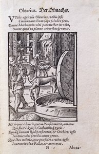 Fabricante de aceite, ilustración de la edición latina de 