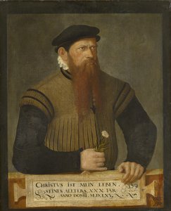 Retrato de un hombre con barba, 1565 de Jost Amman
