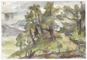 Paisaje arbolado y montañoso