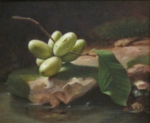 Naturaleza muerta con Paw Paws de Jr. Edward Edmondson