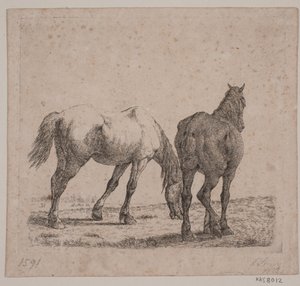 Dos caballos