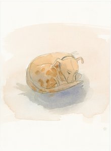 Perro durmiendo, 2003 de Judith Dobie
