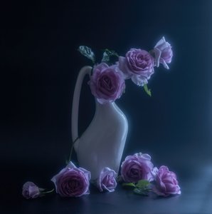  de Judy Tseng