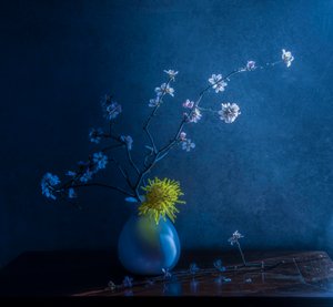  de Judy Tseng