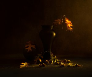  de Judy Tseng