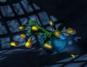  de Judy Tseng