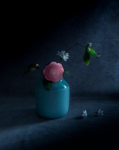  de Judy Tseng