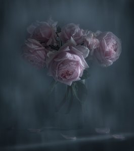 Rosas rosas melancólicas de Judy Tseng