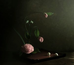  de Judy Tseng