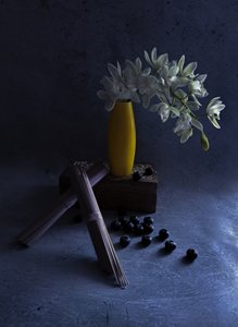 Orquídeas blancas en un jarrón amarillo de Judy Tseng
