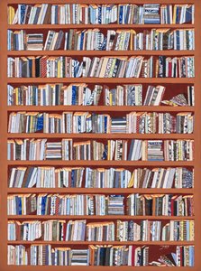 Lomos de libros eclécticos