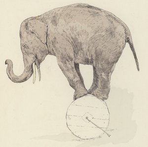 Elefante equilibrando