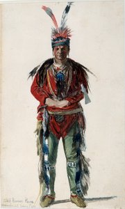 Indio de América: 