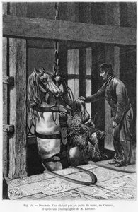 Caballo siendo bajado al pozo de carbón en Le Creusot, ilustración de 
