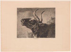 cabeza de toro Estudio de taureau. (título en el objeto) de Jules Ferdinand Jacquemart