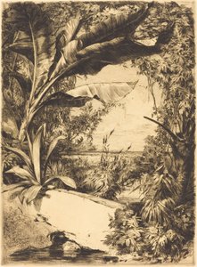 Plantas de Invernadero de Jules Ferdinand Jacquemart