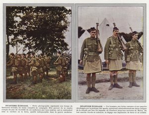 Infantería Escocesa