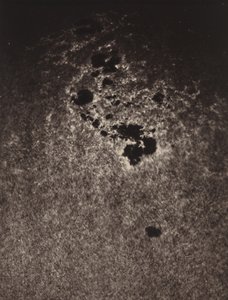 Sin título (Estudio de la superficie del Sol),1893 (foto) de Jules Janssen