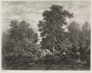 El estanque, después de Théodore Rousseau (1812-67) de Jules Joseph Augustin Laurens