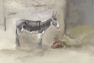 Burro en un establo