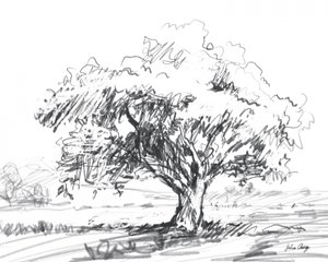 Dibujo rústico de un árbol