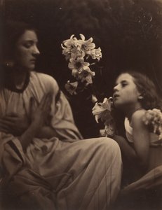 Un estudio, 1865-66 de Julia Margaret Cameron
