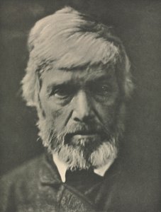 Camera Work: Carlyle de Julia Margaret Cameron