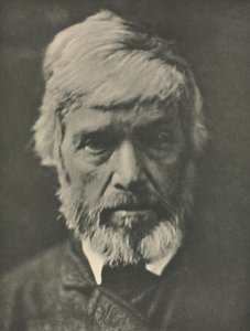 Trabajo de cámara: Carlyle, 1913 de Julia Margaret Cameron