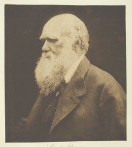 Charles Darwin de Julia Margaret Cameron
