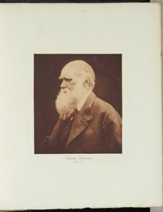 de Julia Margaret Cameron