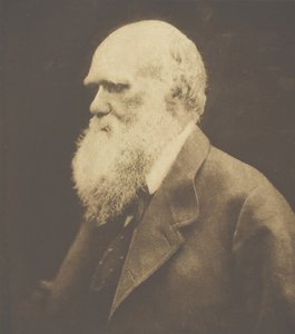 Charles Darwin de Julia Margaret Cameron