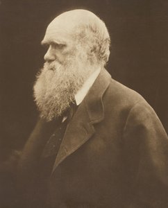 Charles Darwin de Julia Margaret Cameron