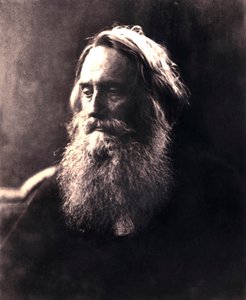 Sir Henry Taylor, dramaturgo inglés del siglo XIX de Julia Margaret Cameron