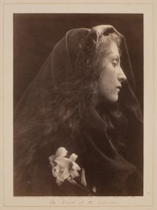  de Julia Margaret Cameron