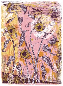 son sine sole iris, 2016 (serigrafía) de julia McKenzie