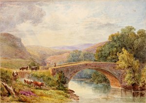 Puente de Lewisburn, North Tyne de Julia Swinburne