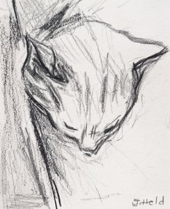 Gato durmiendo, 2015 de Julie Held