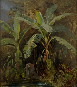 Estonio: "Plantas italianas"