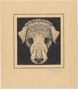 Cabeza de perro