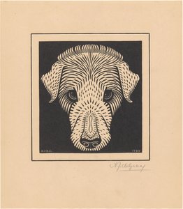 Cabeza de perro