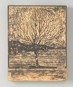 auge de la col rizada de Julie de Graag (signed by artist)