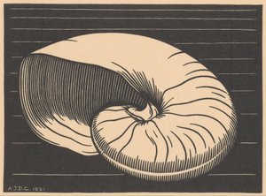 Schelp de Julie de Graag (signed by artist)