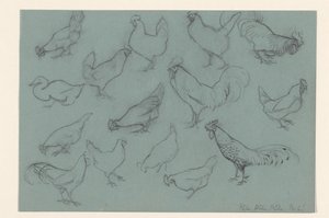 Ficha de estudio con aves de corral