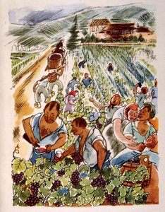 Viñedo francés. 1944. Ilustración de Julien Pavil