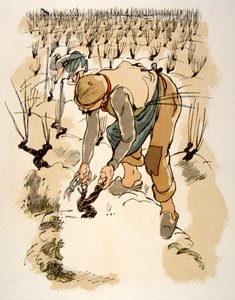Ilustración humorística del vino 1946.Ilustración de Julien Pavil