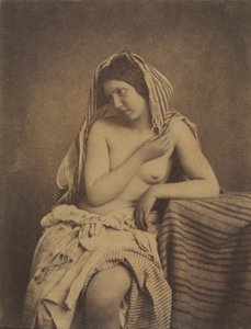 Estudio de la Naturaleza, c. 1853-1855 de Julien Vallou de Villeneuve